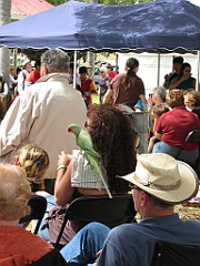 Cairns28 Mareeba Cultural Festival